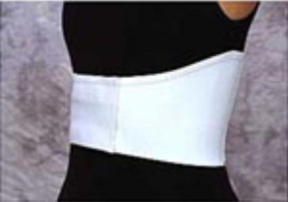 Picture of Rib Belt One Size Fits Most 29 to 45 Inch Waist Circumference 6 Inch Adult0121 WHI UN