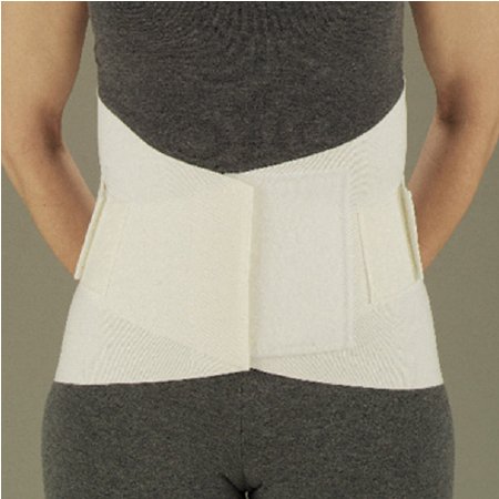 Picture of Lumbar Support DeRoyal® One Size Fits Most Hook and Loop Closure 26 to 46 Inch Waist Circumference Adult13850000