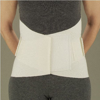 Picture of Lumbar Support DeRoyal® One Size Fits Most Hook and Loop Closure 26 to 46 Inch Waist Circumference Adult13850000