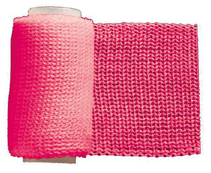 Picture of Cast Tape Techform® Premium 2 Inch X 12 Foot Fiberglass / Polypropylene / Resin Hot Pink204HP